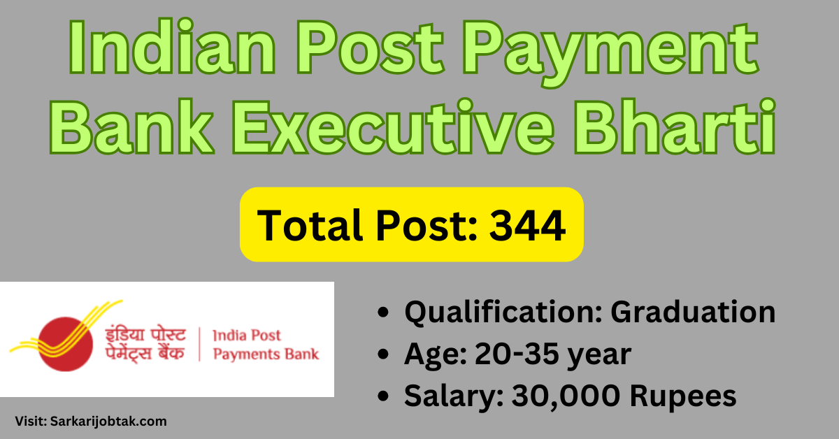 Gramin Dak Sevak, Executive Job Profile