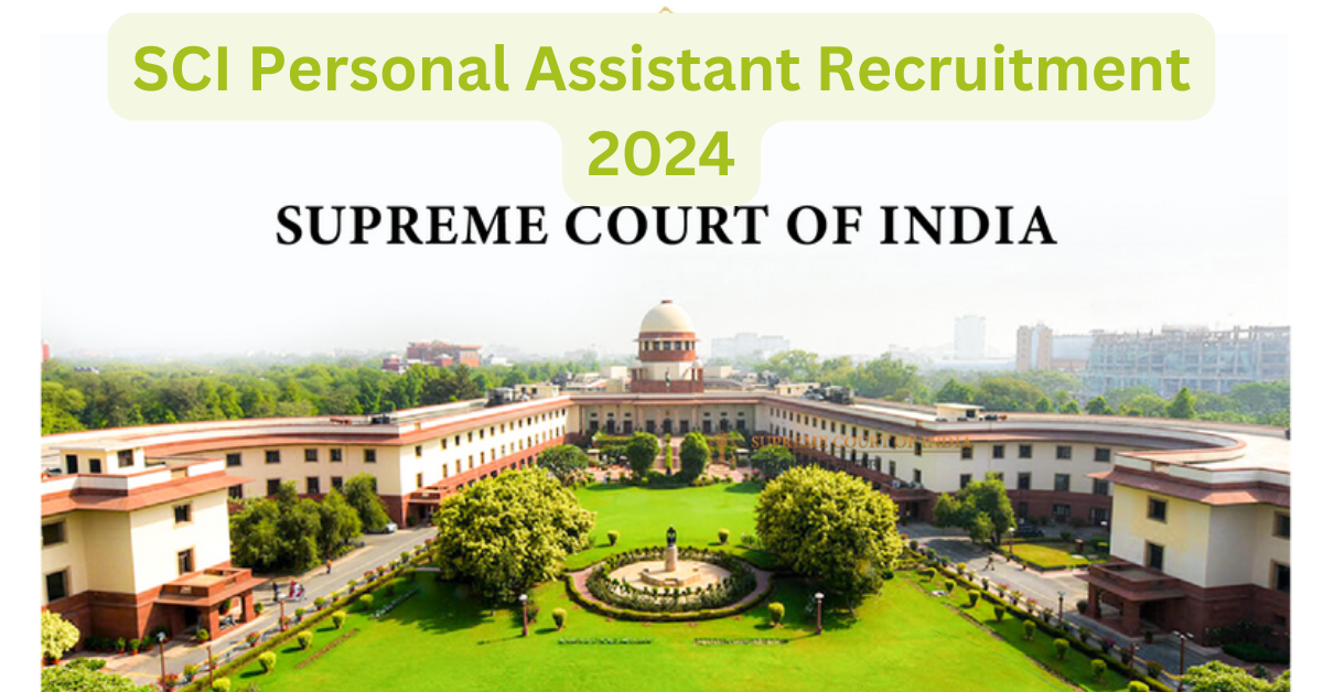 You are currently viewing SCI Personal Assistant Recruitment 2024